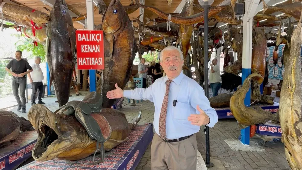 Türkiye Deniz Canlıları Müzesine Yoğun İlgi..!
